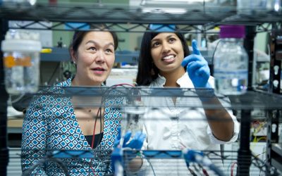 Heena Mutha’s work on carbon nanotube electrodes highlighted in MIT Energy Initiative Energy Futures and MIT News