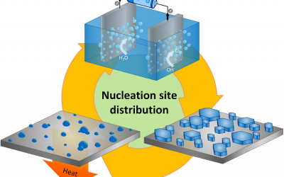 Nucleation Site Distribution Probed by Phase-Enhanced Environmental Scanning Electron Microscopy